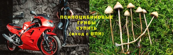 дурь Абаза