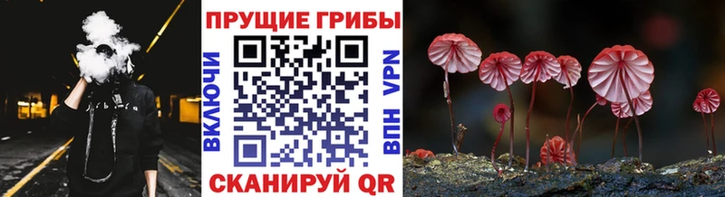 Галлюциногенные грибы GOLDEN TEACHER  Королёв 